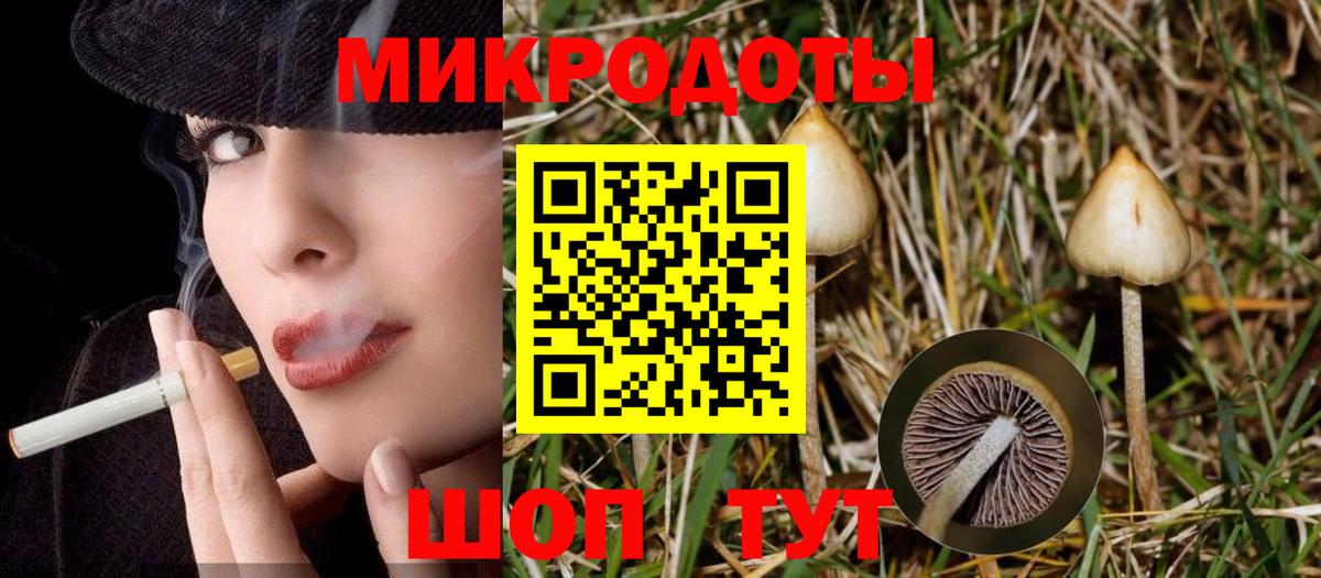 Псилоцибиновые грибы прущие грибы Михайловск