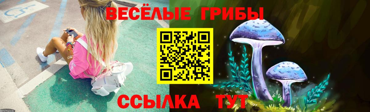 Михайловск  Галлюциногенные грибы GOLDEN TEACHER  Вход с VPN 